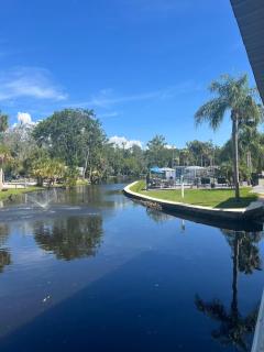 Lagoon Camper-Glamping on the Nature Coast - 2