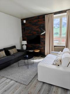 Hima Apartment Stockholm with parking - 2