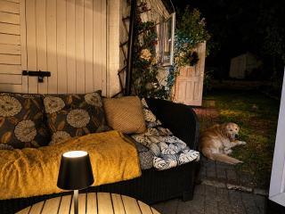 Tiny house in garden London - 1
