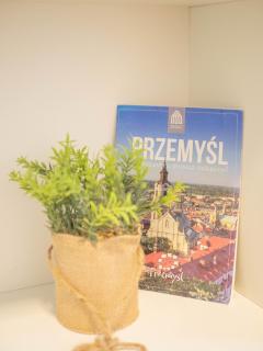 Zielony Zakątek -7 min od dworca - 3