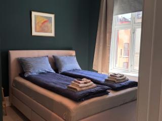 Elegant and spacious home, in the heart of Oslo - 1