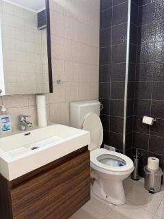 Apartament Frunzei - 9