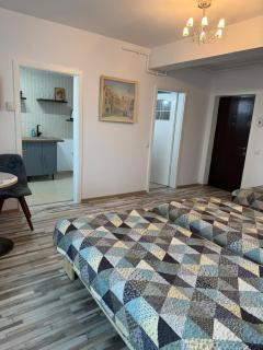 Apartament Frunzei - 4