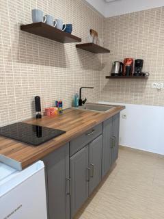 Apartament Frunzei - 1