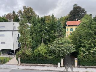 Garconniere mit Wohlfühlcharakter - 1