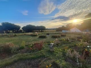 Maisie's Campsite - 9