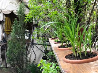Dom Polski Guest House - 1