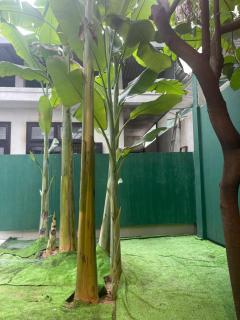 Sweet Garden Homestay - 8