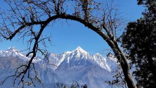 Dharohar Retreat, Mukteshwar - 8
