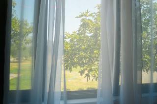 Gazulli Guesthouse - 5