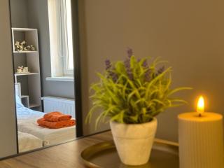 Mini home apartment - 3