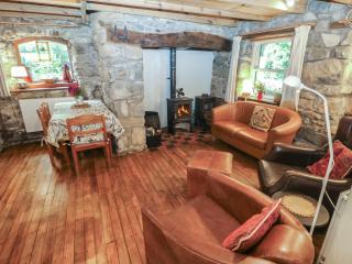 Penfeidr Newydd - 5