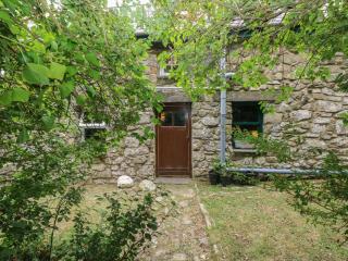 Penfeidr Newydd - 8