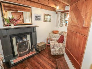 Penfeidr Newydd - 2