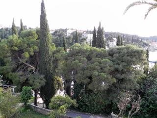 Villa Tiha - 9