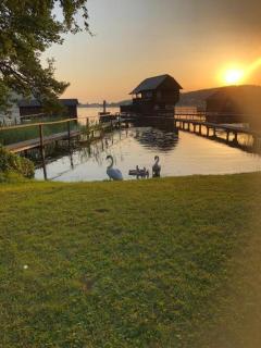 Hannah am Klopeiner see - 9