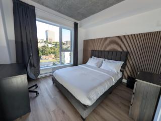 Suites Cobalt - 1