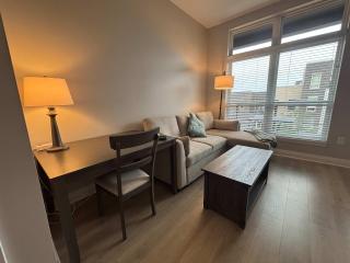 Modern 1BR Bridge Park in Dublin with Balcony and Pool - 5