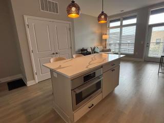 Modern 1BR Bridge Park in Dublin with Balcony and Pool - 6