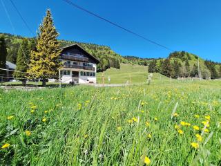 Allgäuer - 1