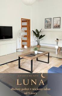 LUNA apartamenty - komfortowy apartament z tarasem nr 1c - Góry Sowie - Jezioro - 0