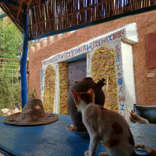Traditional Berber Eco Farm Stay - 8