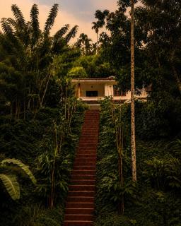 Lush Lagoon Homestay - 1