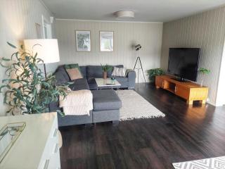 Arctic Nest - 3 bedroom - Spacious, cozy, central - 4