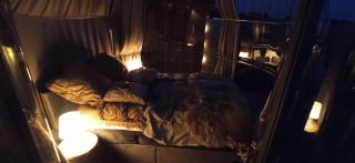 MolsGlamping - 2