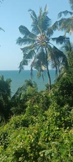 MafiaSeaview - 1