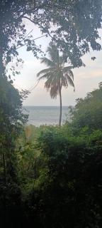 MafiaSeaview - 9