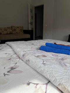 Cozy 1BR Dostyq street - 5