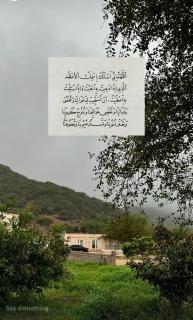 استراحة جوجب - 8