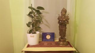 Garden Apartment Donau-City P&R (P&R) - 0