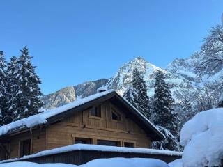 Chalet ISATIS - 4