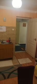 Apartament near city centre with garden - 7