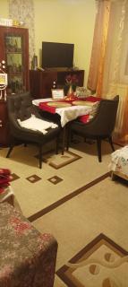 Apartament near city centre with garden - 5