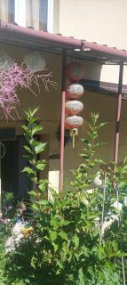 Apartament near city centre with garden - 4