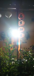 Apartament near city centre with garden - 1