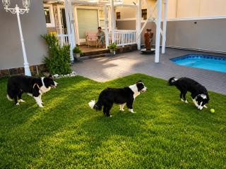 Surf n Sea Beachfront Holiday Home - Jeffreys Bay - 6