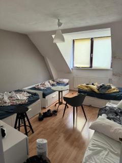 Pauli Hostel - 3