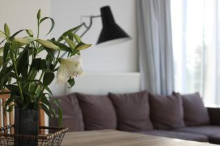 Sommerloft Rerik - Rerik - 7