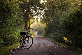 Spacious rural romance and peace Near Porvoo - 9