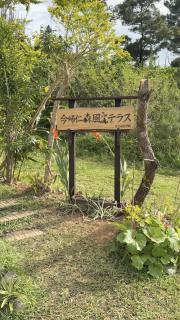今帰仁森風テラス - 3