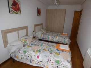 Apartamentos vacacionales La Vega Briviesca - 8
