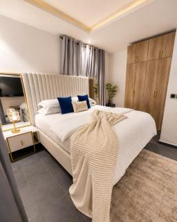 Modern 1 Bedroom Apartment at Cantonment - 8