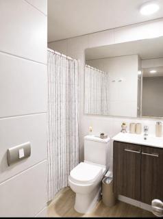 Centro Santiago Apartment, la Moneda, Lastarrias, Barrio Italia - 7
