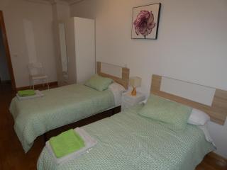 Apartamentos vacacionales La Vega Briviesca - 6