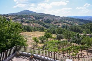 Casa Experience - Acri - Calamia - 5