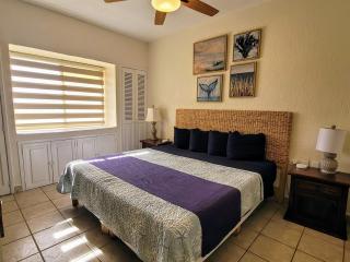 PrincesaC207 -ExperienceRockyPoint- Oceanview KingBeds - 3